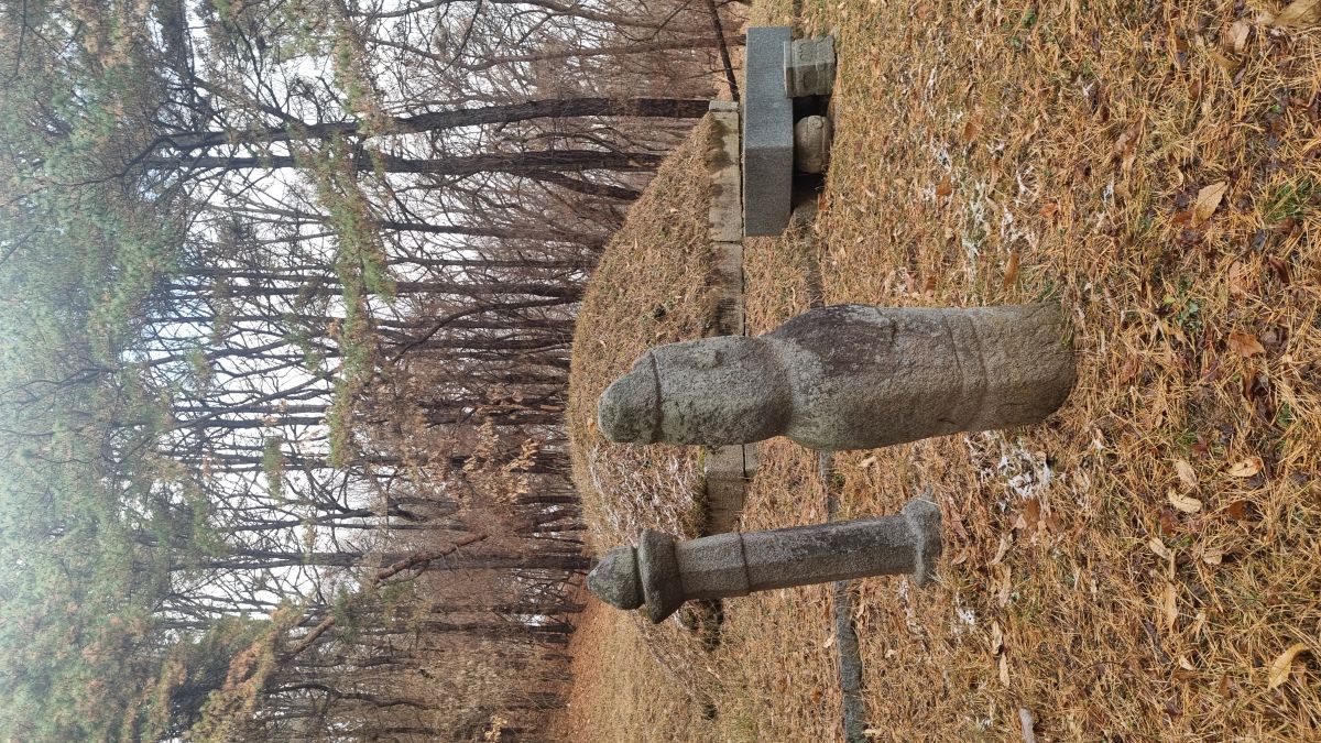 cca0a03d0fbb77df4e4df018f6a87ade_1765773365_5253.jpg cca0a03d0fbb77df4e4df018f6a87ade_1765773365_5253.jpg